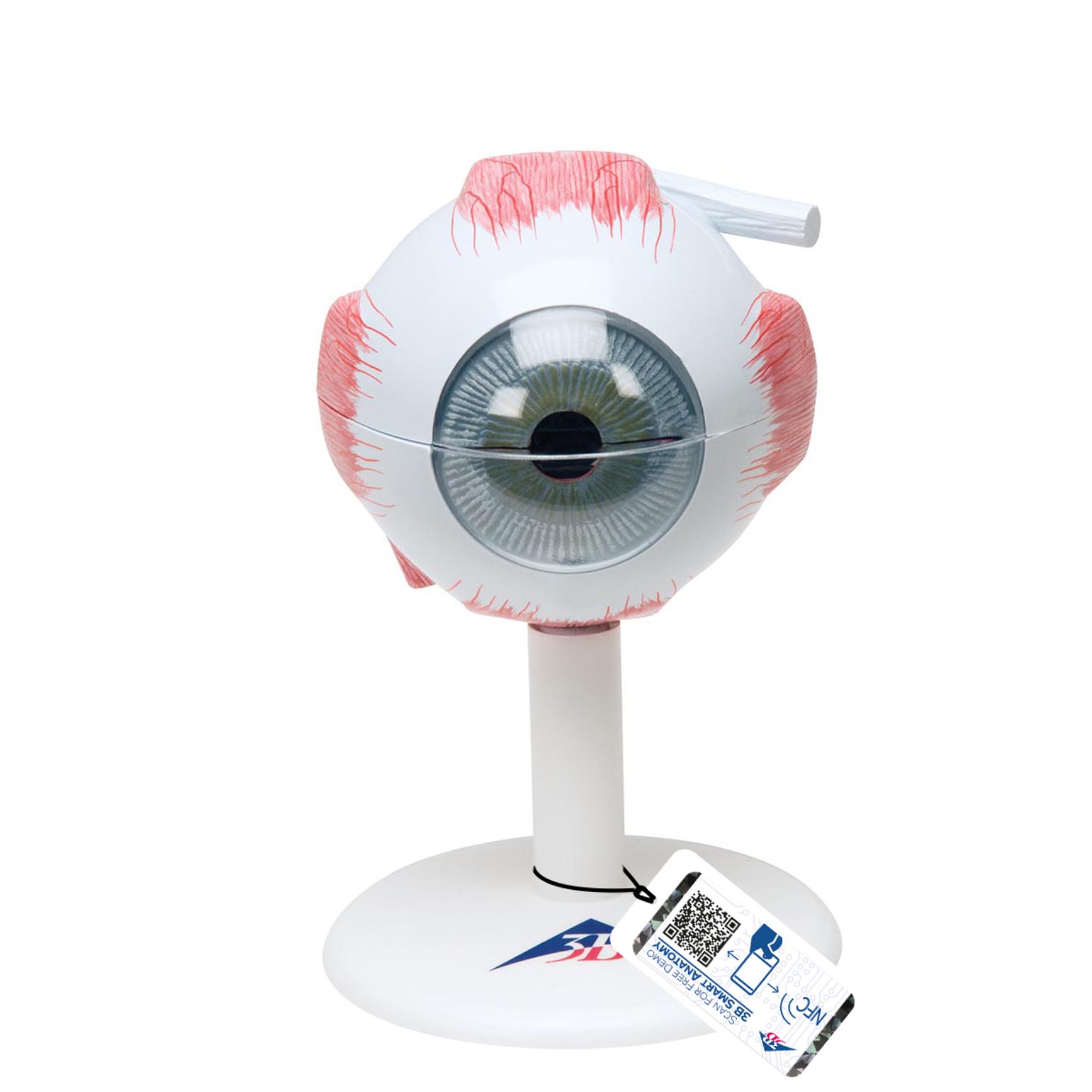 Model ludzkiego oka – rozszerzalny, warstwowy