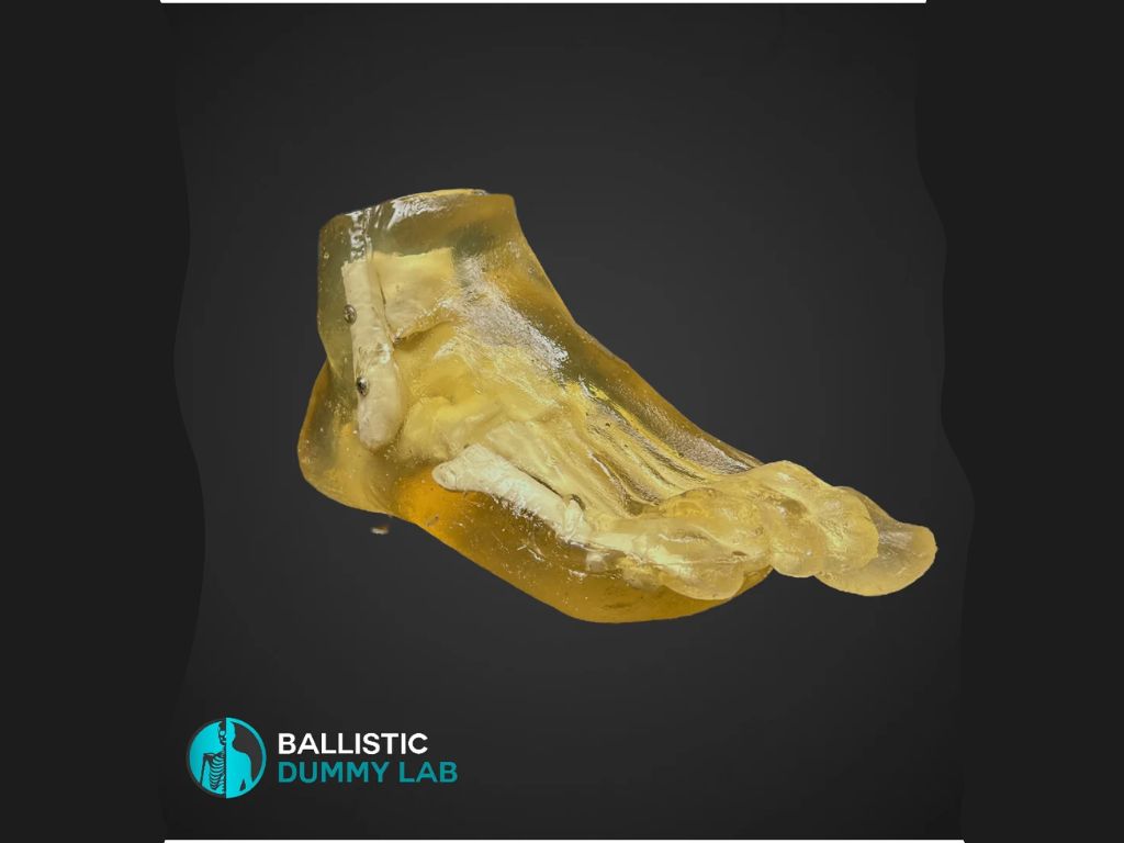 silikonowa stopa balistyczna